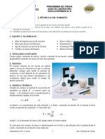 pendulo de torsion N3.pdf