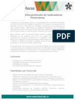 Calculo Interpretacion Indicadores Financieros