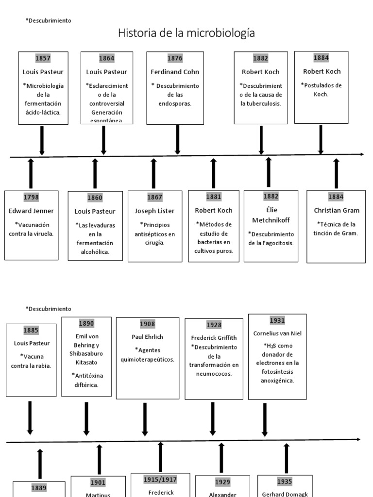 Historia de La Microbiologia Linea de Tiempo | PDF | Microbiología | Adn