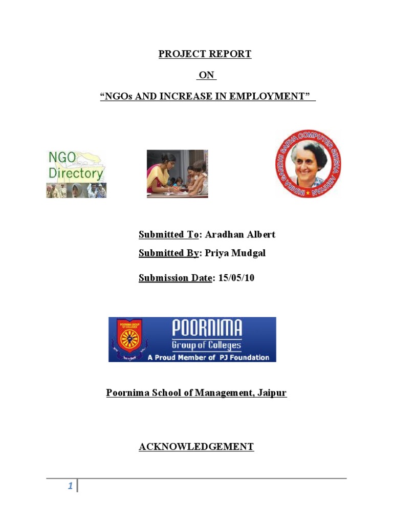 NGOs' Impact on Employment Growth | PDF | Economies