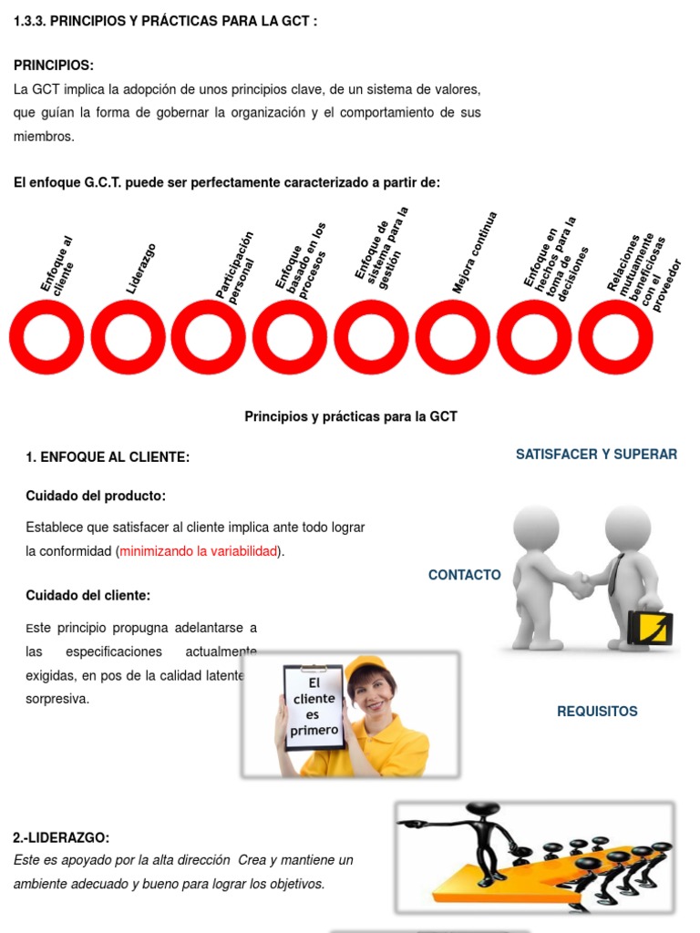 Principios Del Enfoque GCT Al Cliente PDF Calidad comercial 