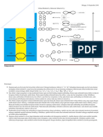 Orbital Molekul O2 Molecule Orbital of O