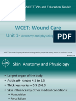 Unit 1 Anatomy and physiology of skin.pdf