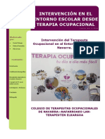 Intervencin de Terapia Ocupacional en Educacin