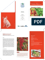 folder-amaranto-e-caruru.pdf