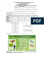 Taller de Ciencias Naturales 5°