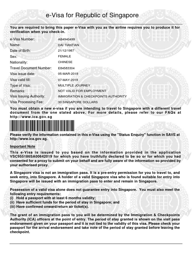 E-Visa For Republic of Singapore | PDF