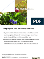 3. Pembuatan Herbarium