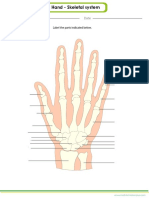 Hand PDF