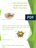 Cell Organelle Engage