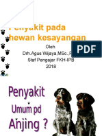 Mei2018(TatapMuka3-4)Penyakit pd hewan kesayanganAGW.ppt