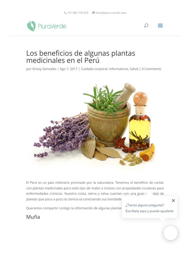 En Piura Verde Conoce Los Beneficios De Las Plantas Medicinales