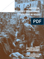 Natureza, Populações Tradicionais e Sociedade de Risco Volume II.pdf