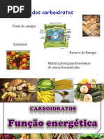 2- Função Dos Carboidratos