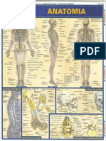 PDF Anatomia