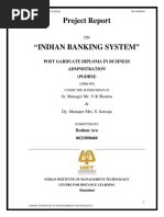 Project Report On Indian Banking System