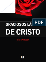 Graciosos Lábio de Cristo