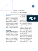 15-causticos.pdf