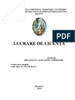 Birladianu Alexandru - Lucrare de Licenta - Politica de Produs in Marketingul International