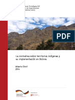 Informe Bolivia a.chirif Compressed