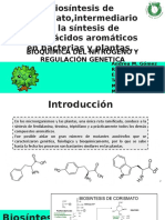 Presentacion Bioquimica de Biosintesis