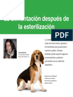 AV 40 Alimentacion Esterilizacion