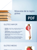 Musculos de La Region Glutea