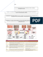 Clinical Pathophysiology of Acne