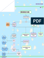 Mapa Conceptual - Administracion