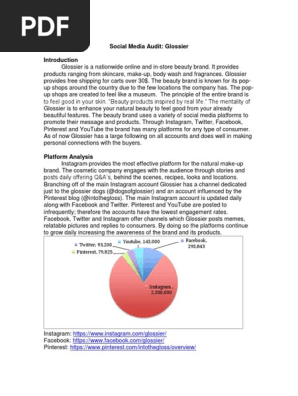 social media audit