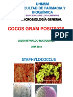 Micro 2019cal-13ava Sem Staphylococcus y Streptococcus Jrq