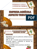 Empresa Agrícola - Aspecto Tributario PDF