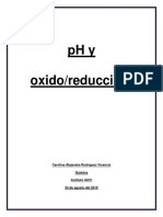 pH y redox_carolina_rodriguez_quimica.doc