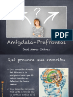 Amígdala-Lóbulo prefrontal.pdf