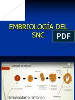 01 Neuroembriologia PDF