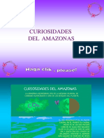 Curiosidades del Amazonas y frases inspiradoras