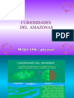 Curiosidades Del Amazonas - Pps
