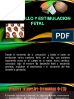 Desarrollo y Estimulacion