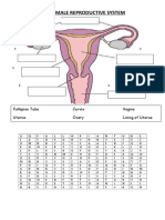 The Female Reproductive Anatomy