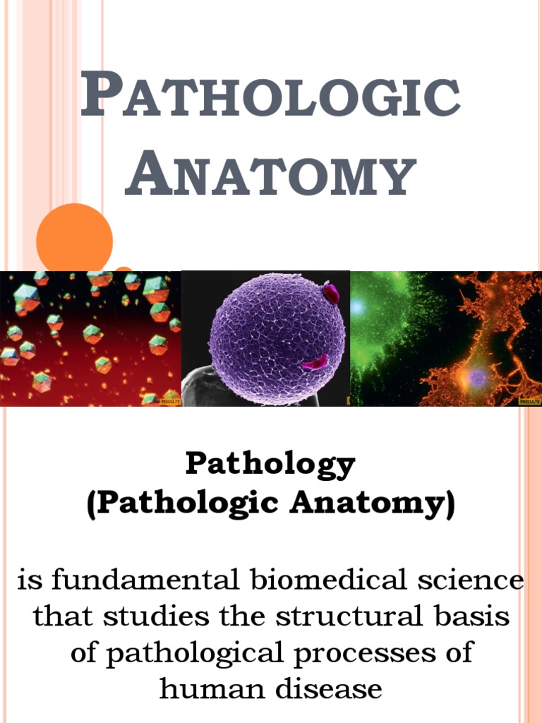 Pathology | PDF | Pathology | Immunohistochemistry