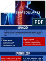 Lesión Medular