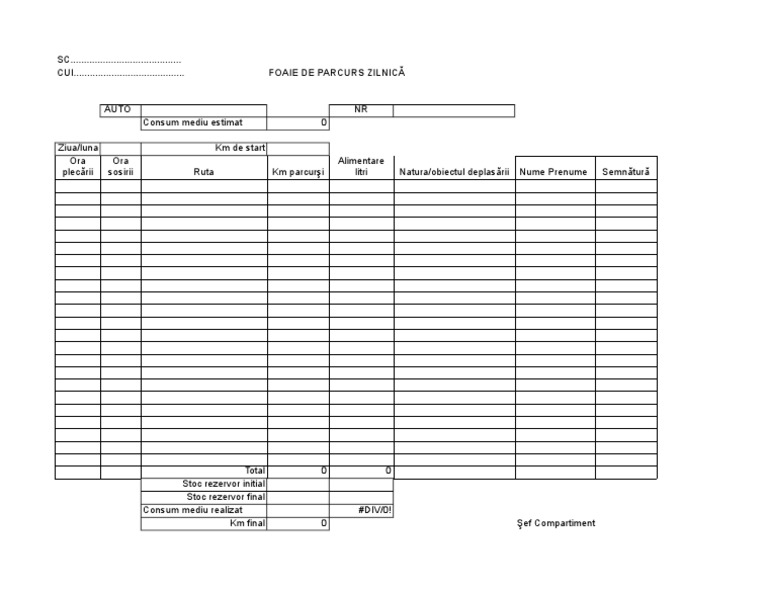 Foaie de Parcurs Zilnica | PDF