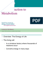 08 Energy and Metabolism