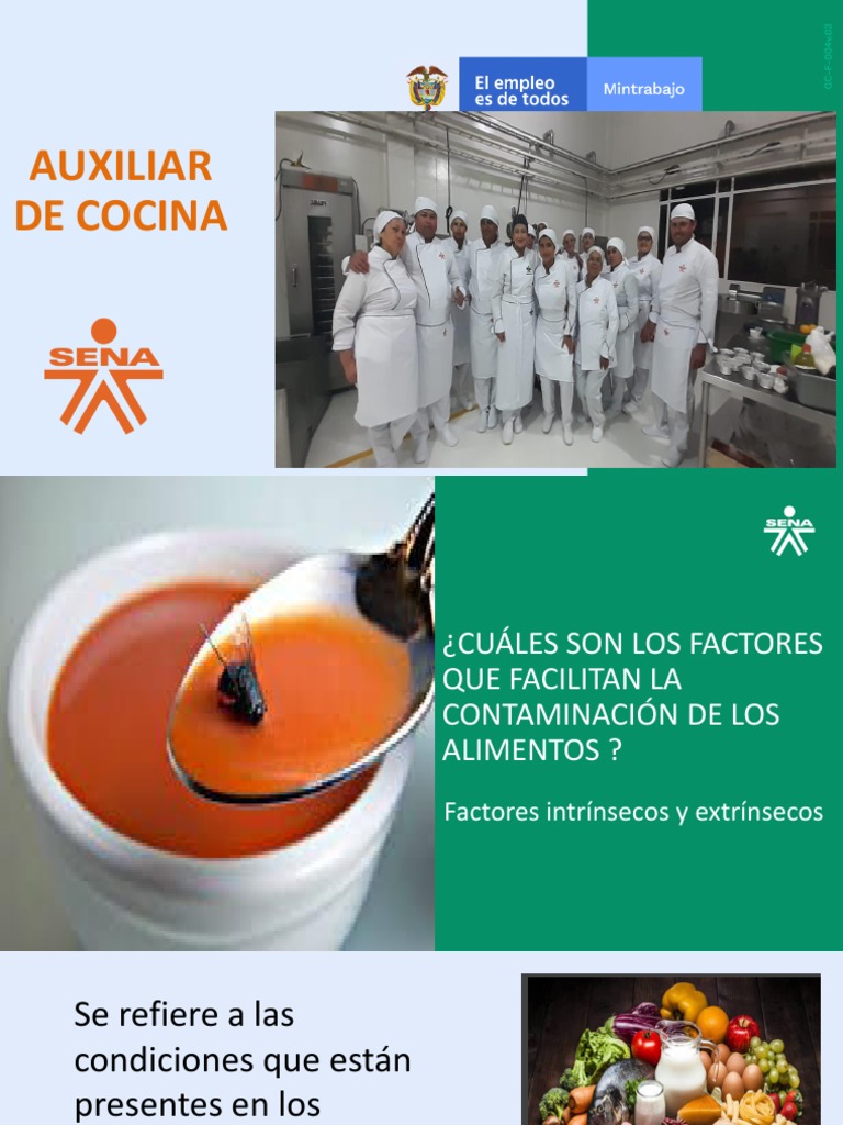 Factores de La Contaminacion de Alimentos | PDF | Microorganismo | La ...