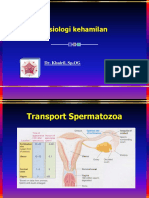 2. Fisiologi kehamilan