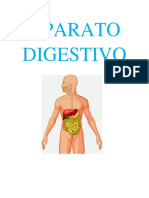 APARATO DIGESTIVO.docx