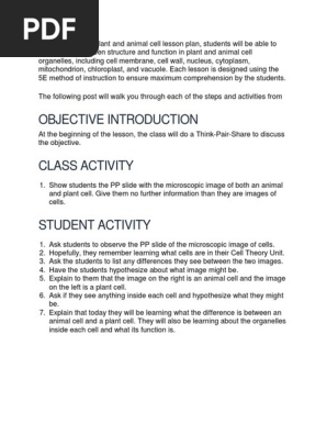 sample lesson plan