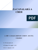 C12 litiaza canalara curs.pptx