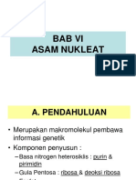 asam nukleat