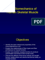 Biomechanic of Muscle